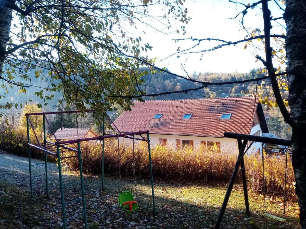 Au Grenier Du Lac Gérardmer Buitenkant foto
