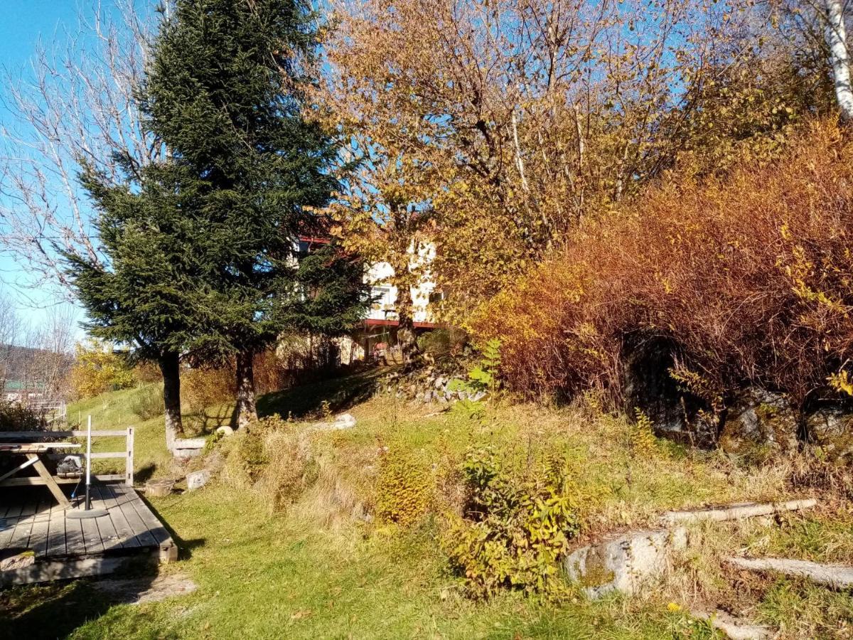 Au Grenier Du Lac Gérardmer Buitenkant foto