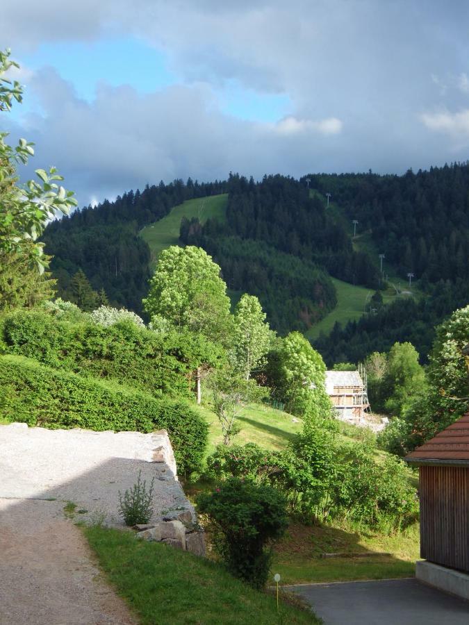 Au Grenier Du Lac Gérardmer Buitenkant foto