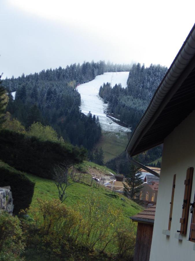 Au Grenier Du Lac Gérardmer Buitenkant foto