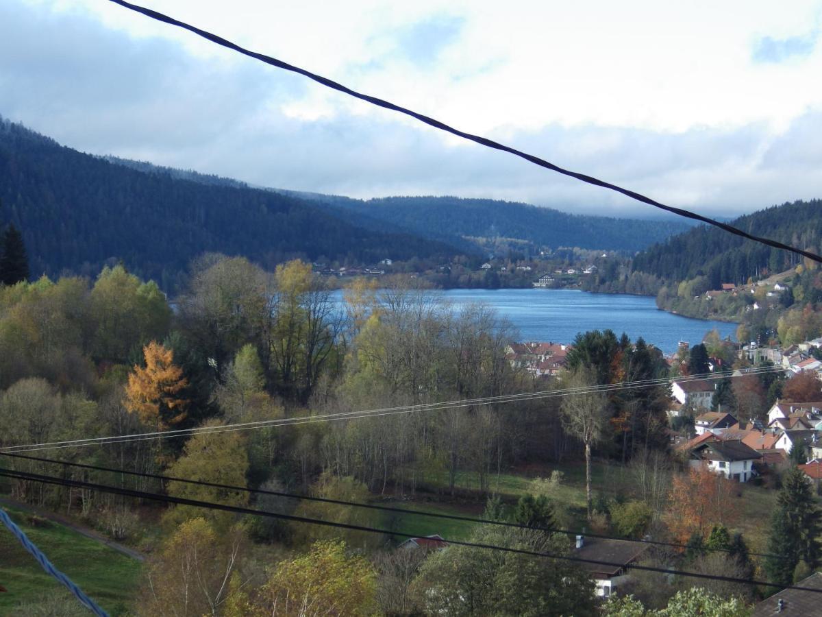 Au Grenier Du Lac Gérardmer Buitenkant foto